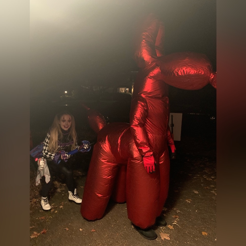 Spirit Red Inflatable Balloon Dog Costume - Picture 9 of 9